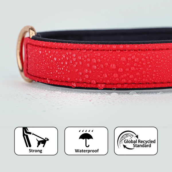 Load image into Gallery viewer, The Avenue - Personalised Collar
