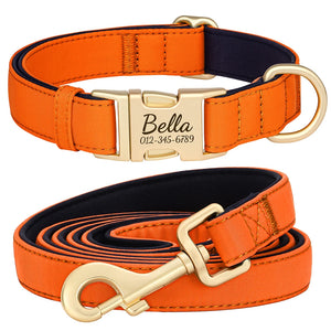 Everyday Itallic - Leash and Personalised Collar