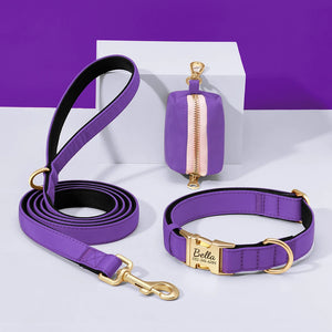 Everyday Itallic - Leash, Poop Bag and Personalised Collar