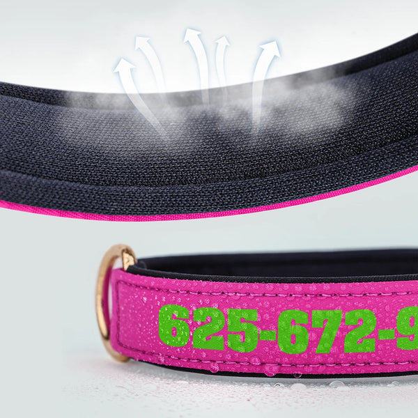 Load image into Gallery viewer, Bold Print - Personalised Collar
