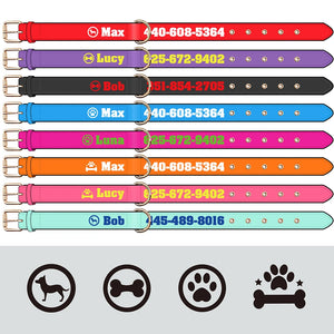 Bold Print - Personalised Collar