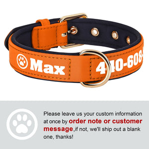 Bold Print - Personalised Collar