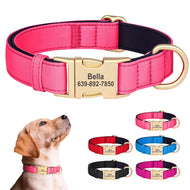 Golden Paws Luxe - Personalised Collar