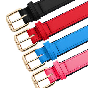 The Avenue - Personalised Collar