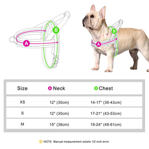 CloudFit Harness