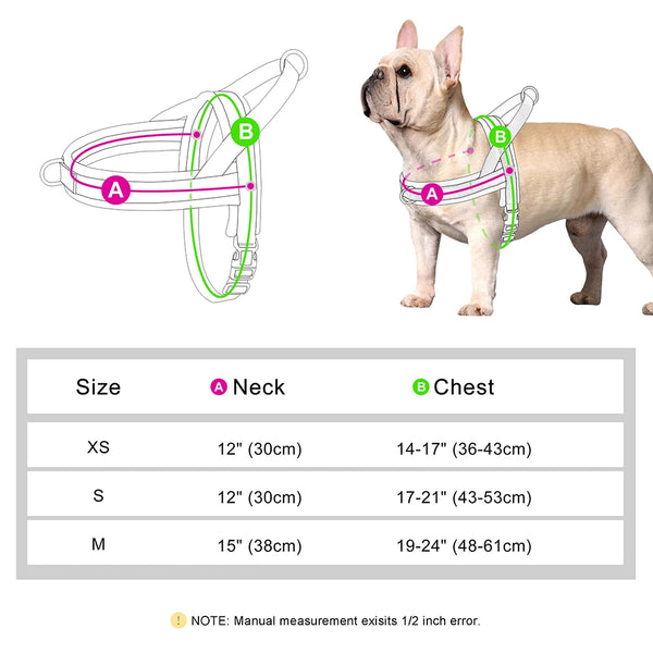 Load image into Gallery viewer, CloudFit Harness
