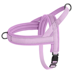 CloudFit Harness