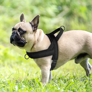 CloudFit Harness