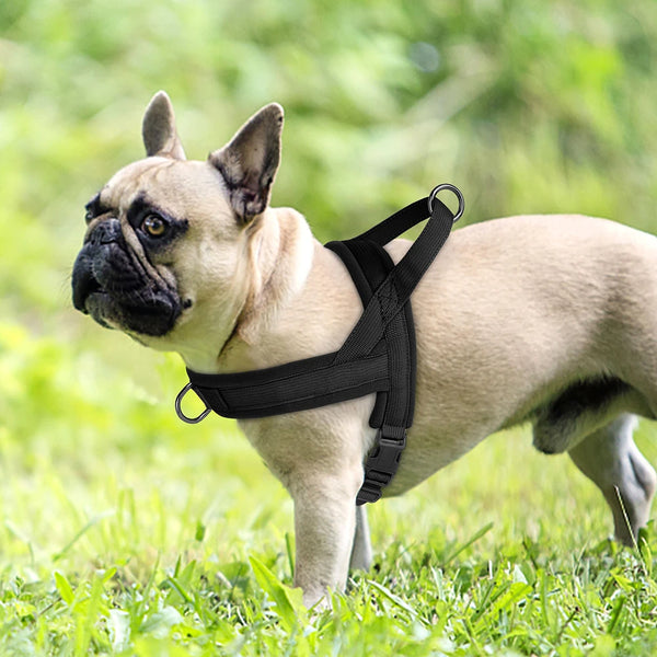 Load image into Gallery viewer, CloudFit Harness
