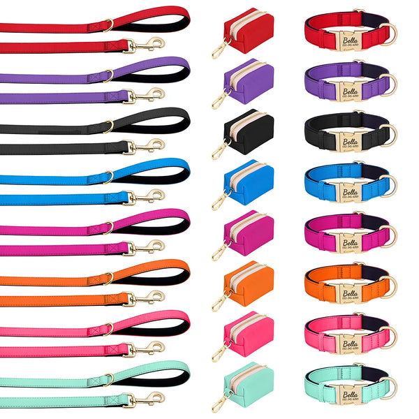 Load image into Gallery viewer, Everyday Itallic - Leash, Poop Bag and Personalised Collar
