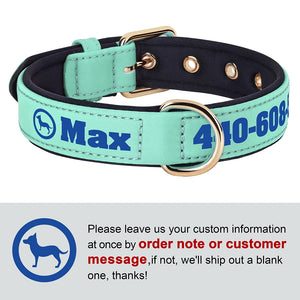 Bold Print - Personalised Collar