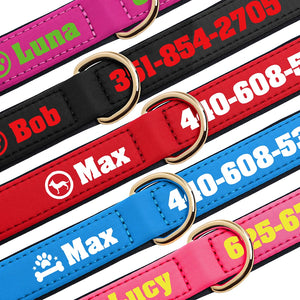 Bold Print - Personalised Collar