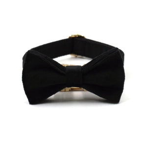 Luxury Velvet Crush Black - Leash, Poop Bag Holder & Personalised Collar