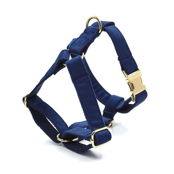 Load image into Gallery viewer, Luxury Velvet Crush Navy - Personalised Harness
