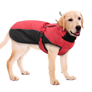 Wind Breaker Dog Jacket