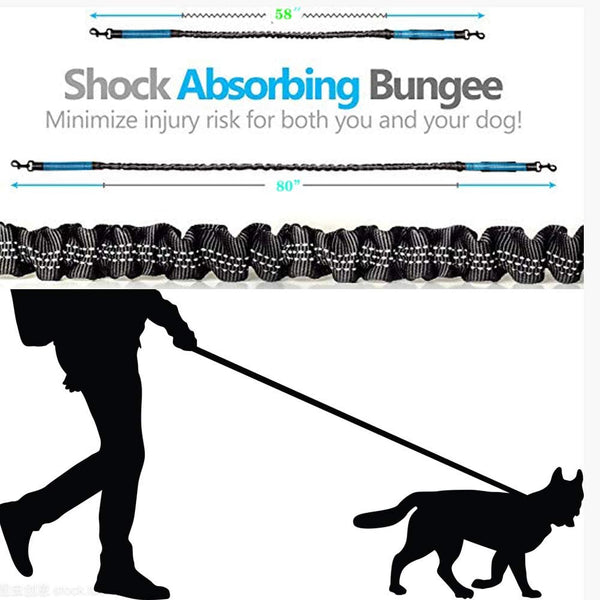 Load image into Gallery viewer, Hands Free Walking Bungee Leash
