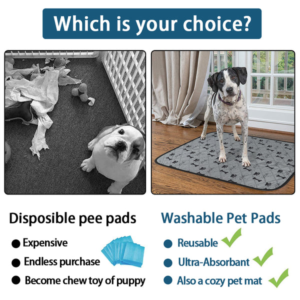 Load image into Gallery viewer, Pee Wee Pet Mat
