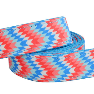 Ziggy Blue - 2 Piece Set - Leash & Personalised Collar
