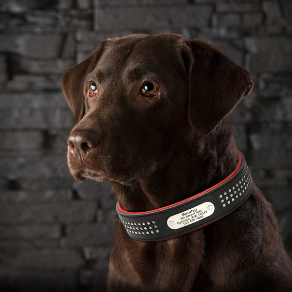 Load image into Gallery viewer, Lush Diamonds Leather - Personalised Collar
