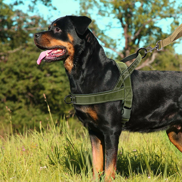 Load image into Gallery viewer, Special Forces Slim Line Dog Harness
