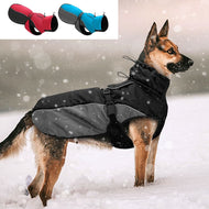 Wind Breaker Dog Jacket