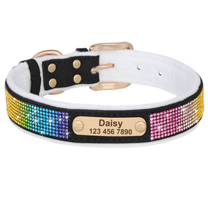 Hollywood Lights - Personalised Collar