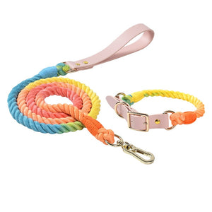 Ombre Rope - 2 Piece Set - Leash & Collar