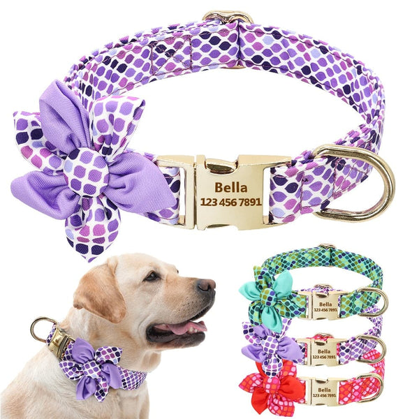 Load image into Gallery viewer, Sweet Scales - Personalised Collar
