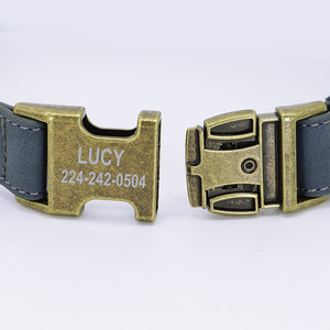 Vintage Bronze - 2 Piece Set - Leash & Personalised Collar