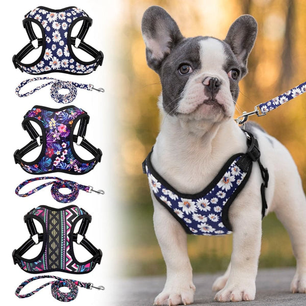 Load image into Gallery viewer, Frenchie - 2 Piece Set - Harness &amp; Leash
