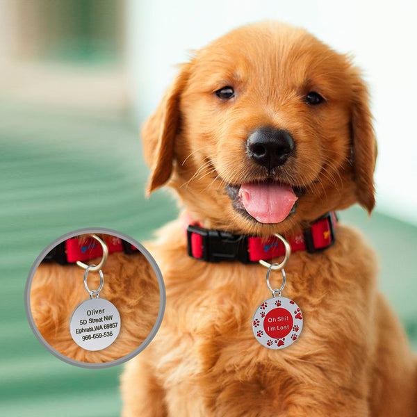 Load image into Gallery viewer, I&#39;m Lost Pet Tag - Personalised Engraving
