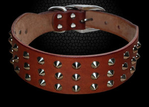 Leather Rivet Collar