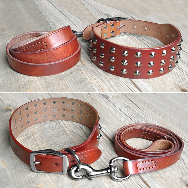 Load image into Gallery viewer, Leather Rivet - 2 Piece Set - Leash &amp; Collar
