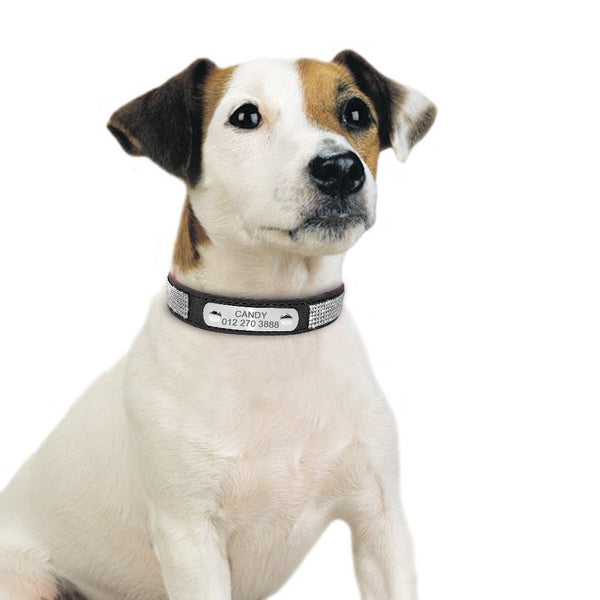 Load image into Gallery viewer, Dazzle - Personalised Collar
