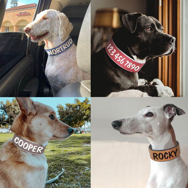 Load image into Gallery viewer, Hustle Solid Print - Personalised Collar
