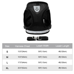 Strapless Jacket - 2 Piece Set - Harness & Leash