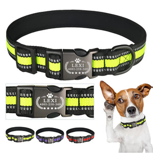 Paw Star Solid - Personalised Collar