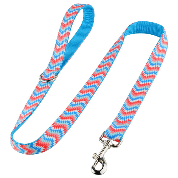 Load image into Gallery viewer, Ziggy Blue - 2 Piece Set - Leash &amp; Personalised Collar
