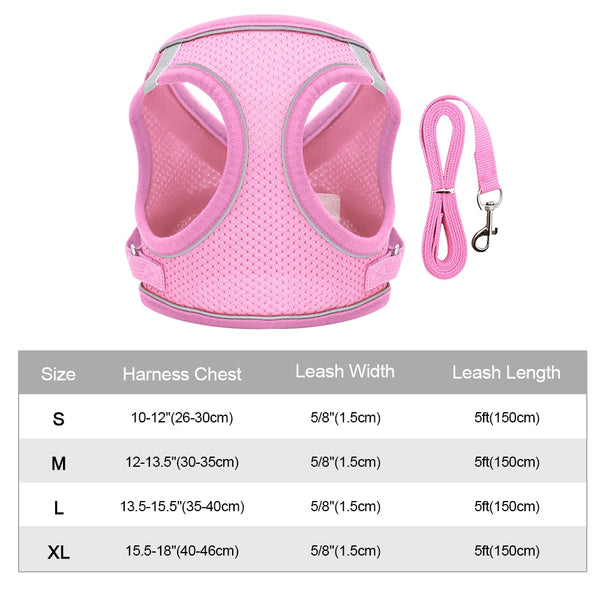 Load image into Gallery viewer, Strapless Jacket - 2 Piece Set - Harness &amp; Leash

