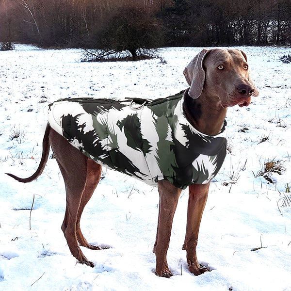 Load image into Gallery viewer, Bomber Print Dog Jacket
