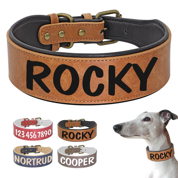 Load image into Gallery viewer, Hustle Solid Print - Personalised Collar
