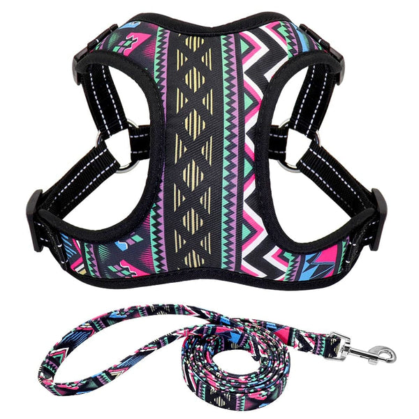 Load image into Gallery viewer, Frenchie - 2 Piece Set - Harness &amp; Leash
