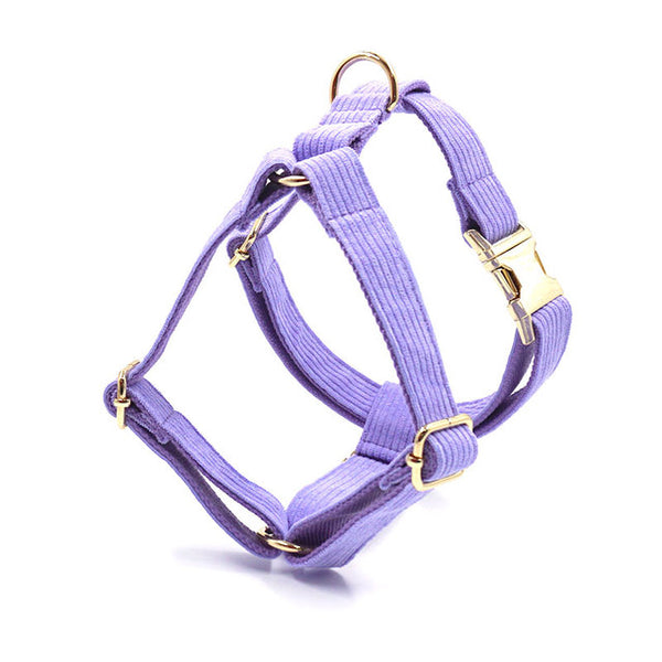 Load image into Gallery viewer, Corduroy Crush Lavender - Personalised Harness
