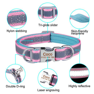 Reflect Line - Personalised Collar