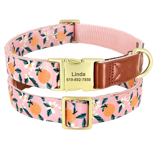Load image into Gallery viewer, Colour Burst - Personalised Collars
