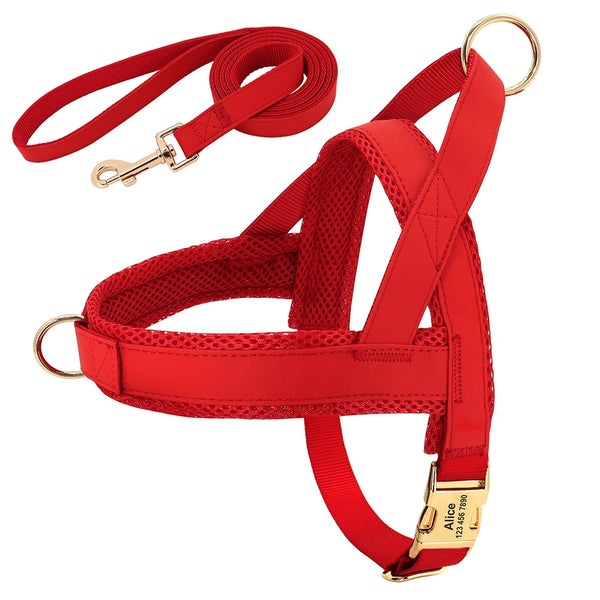 Load image into Gallery viewer, Sleek Pup - 2 Piece Set - Leash &amp; Personalised Harness
