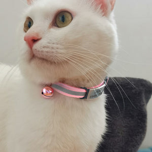 Design Line - Personalised Cat Collar