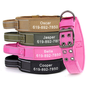 Dual Force - Personalised Collar