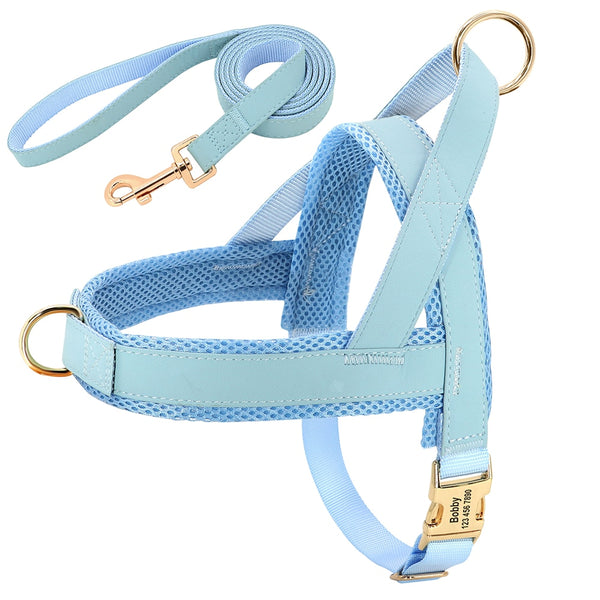 Load image into Gallery viewer, Sleek Pup - 2 Piece Set - Leash &amp; Personalised Harness
