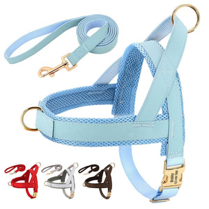 Sleek Pup - 2 Piece Set - Leash & Personalised Harness